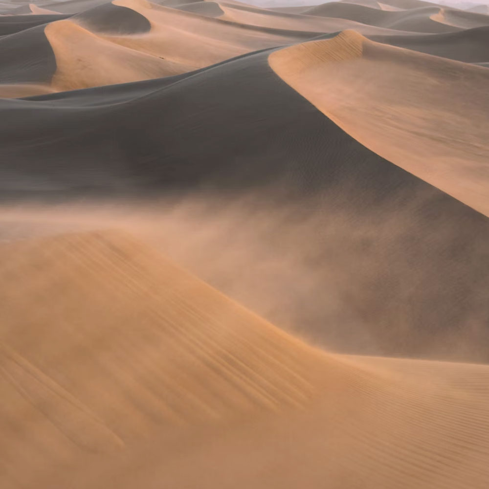 "Shifting Sands" – Wind-sculpted sand dunes with intricate, repeating patterns, symbolizing adaptability and dynamic systems.